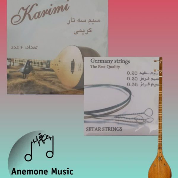 فروش انواع سازهای موسیقی ایرانی و خارجی - آنمون موزیک